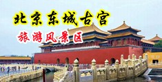 插小泬9p中国北京-东城古宫旅游风景区